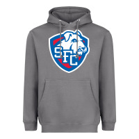 Storm st. francis brooklyn terriers Heavyweight Hoodie - linhVisuals