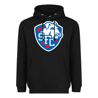 Black st. francis brooklyn terriers Heavyweight Hoodie - linhVisuals