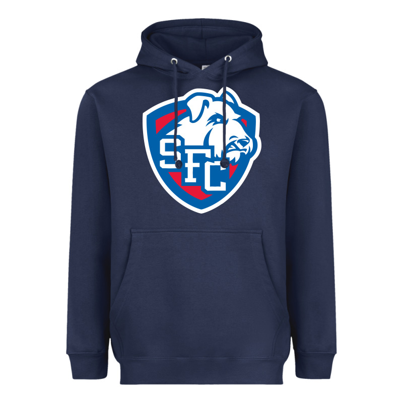 St. Francis Brooklyn Terriers Heavyweight Hoodie by linhVisuals | Teevron
