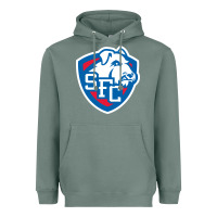 Sage st. francis brooklyn terriers Heavyweight Hoodie - linhVisuals
