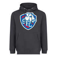 Smoke st. francis brooklyn terriers Heavyweight Hoodie - linhVisuals
