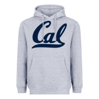Heather Grey california Heavyweight Hoodie - linhVisuals