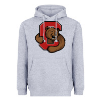 Heather Grey cornell Heavyweight Hoodie - linhVisuals