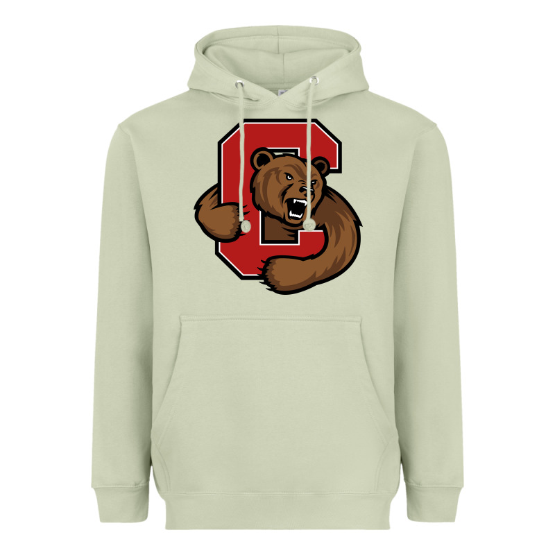 Cornell Heavyweight Hoodie by linhVisuals | Teevron