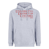 Heather Grey University of the District of Columbia Heavyweight Hoodie - linhVisuals