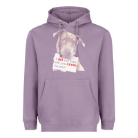 Lavender pitbull t  shirt i sit for you will you stand for me t  shirt Heavyweight Hoodie - linhVisuals