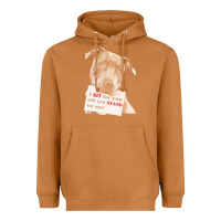 Meerkat pitbull t  shirt i sit for you will you stand for me t  shirt Heavyweight Hoodie - linhVisuals