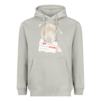 Moon Dust pitbull t  shirt i sit for you will you stand for me t  shirt Heavyweight Hoodie - linhVisuals