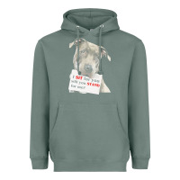 Sage pitbull t  shirt i sit for you will you stand for me t  shirt Heavyweight Hoodie - linhVisuals