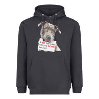 Pitbull T  Shirt I Sit For You Will You Stand For Me T  Shirt Heavyweight Hoodie | Teevron