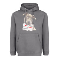 Storm pitbull t  shirt i sit for you will you stand for me t  shirt Heavyweight Hoodie - linhVisuals