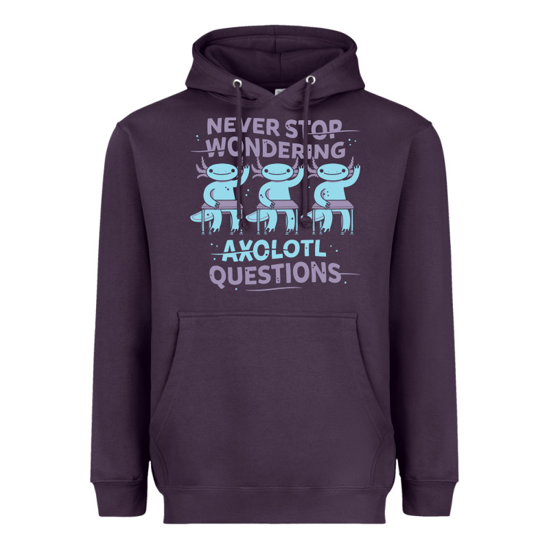 Axolotl Questions Heavyweight Hoodie by linhVisuals | Teevron