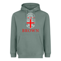 Sage brown university Heavyweight Hoodie - linhVisuals