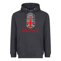 Smoke brown university Heavyweight Hoodie - linhVisuals