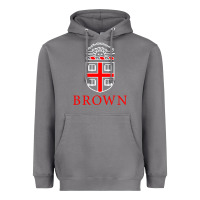 Storm brown university Heavyweight Hoodie - linhVisuals