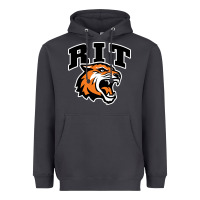 Smoke tiger Heavyweight Hoodie - linhVisuals