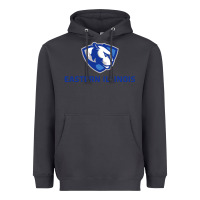 Smoke eastern illinois panthers Heavyweight Hoodie - linhVisuals