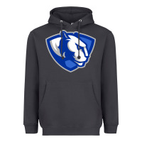 Smoke eastern illinois panthers Heavyweight Hoodie - linhVisuals