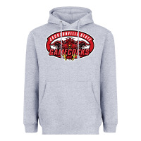 Heather Grey jacksonville state gamecocks Heavyweight Hoodie - linhVisuals