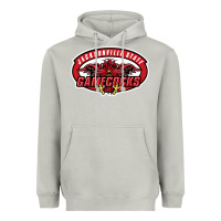 Moon Dust jacksonville state gamecocks Heavyweight Hoodie - linhVisuals