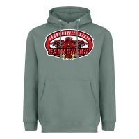 Sage jacksonville state gamecocks Heavyweight Hoodie - linhVisuals