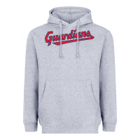Heather Grey GUARDIANS Heavyweight Hoodie - linhVisuals