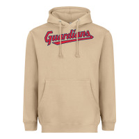 Mushroom GUARDIANS Heavyweight Hoodie - linhVisuals