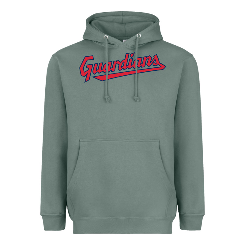 Guardians Heavyweight Hoodie by linhVisuals | Teevron