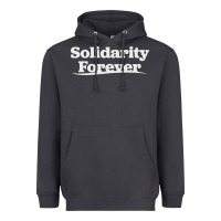 Smoke solidarity forever Heavyweight Hoodie - linhVisuals