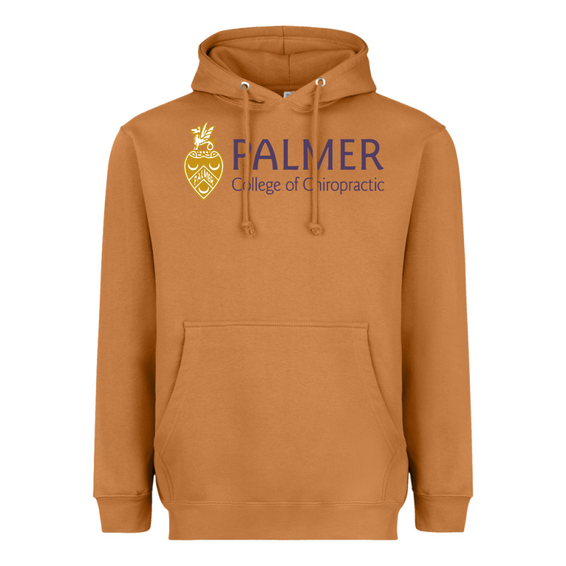 College Of Chiropractic Heavyweight Hoodie by linhVisuals | Teevron