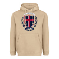 Db Heavyweight Hoodie | Teevron