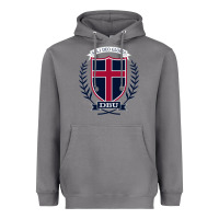 Storm db Heavyweight Hoodie - linhVisuals
