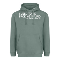 Sage i used to be f cking stupid Heavyweight Hoodie - linhVisuals