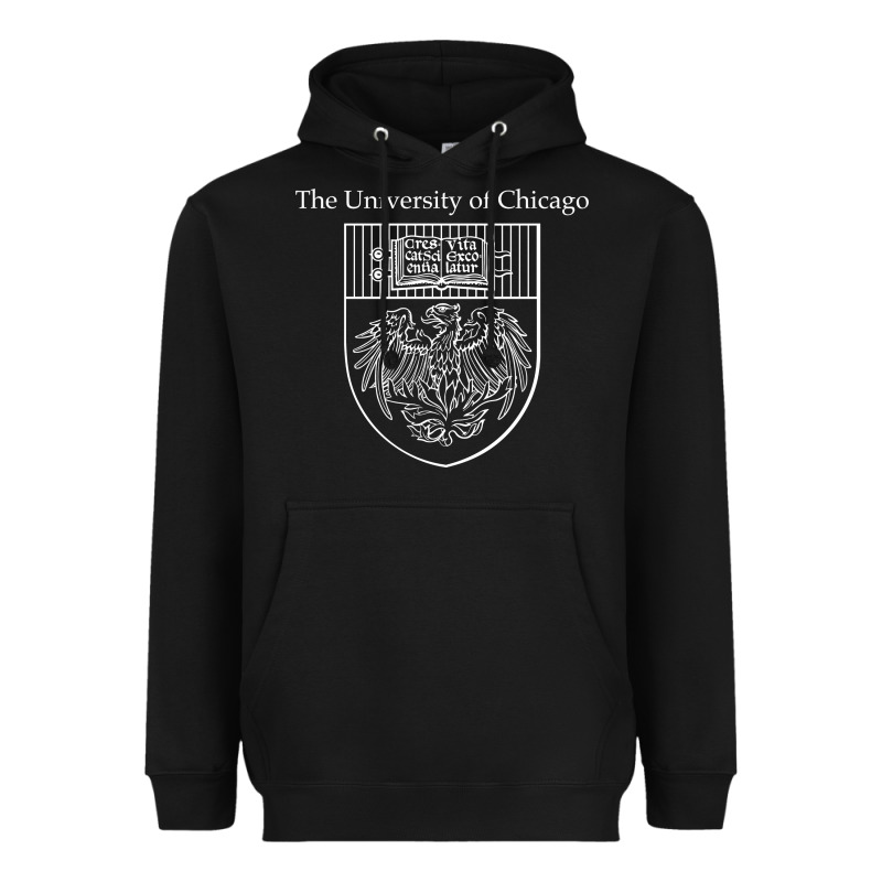 Chicago Heavyweight Hoodie by linhVisuals | Teevron