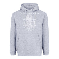 Heather Grey chicago Heavyweight Hoodie - linhVisuals