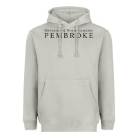 Moon Dust University of North Carolin Pembroke Heavyweight Hoodie - linhVisuals