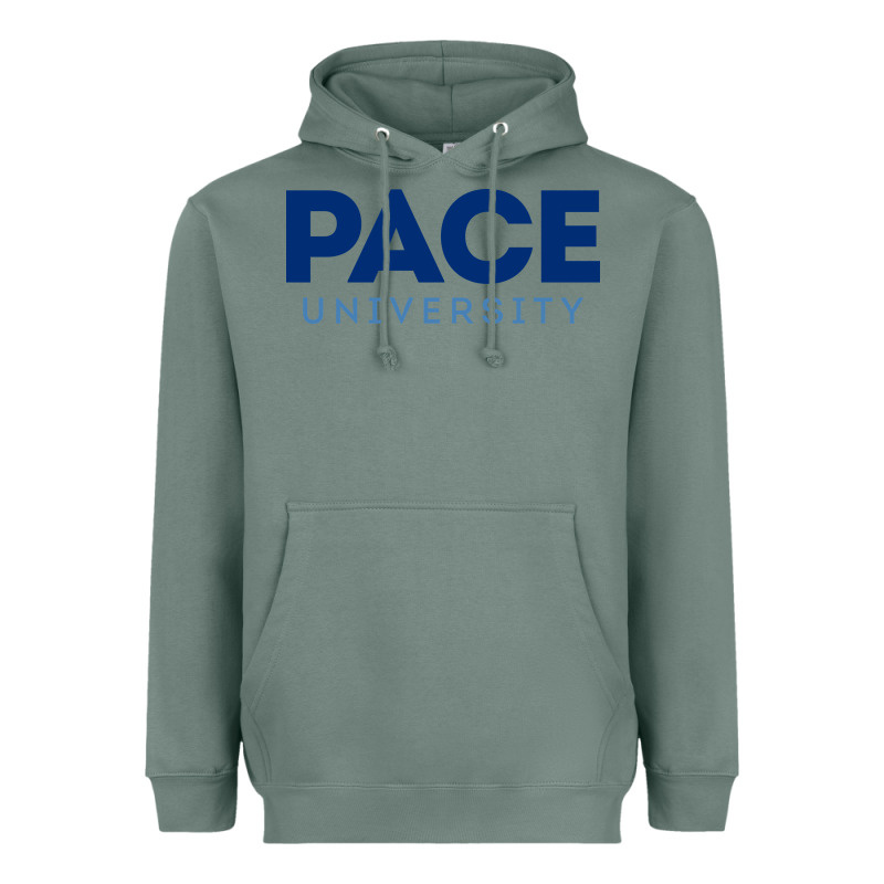 Pace University Heavyweight Hoodie by linhVisuals | Teevron