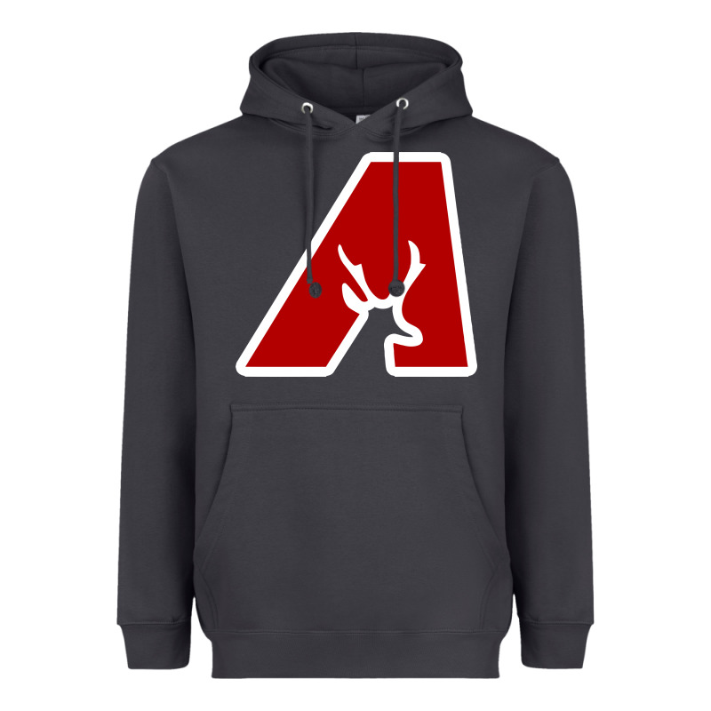 Avonworth High School Heavyweight Hoodie by linhVisuals | Teevron