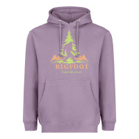 Lavender bigfoot t  shirt bigfoot take me away t  shirt Heavyweight Hoodie - linhVisuals