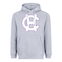 Heather Grey holy cross crusaders Heavyweight Hoodie - linhVisuals