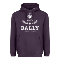 Plum bally Heavyweight Hoodie - linhVisuals