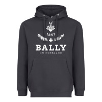 Smoke bally Heavyweight Hoodie - linhVisuals