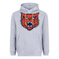 Heather Grey evanston township high school Heavyweight Hoodie - linhVisuals
