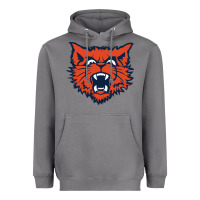 Evanston Township High School Heavyweight Hoodie | Teevron