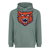 Sage evanston township high school Heavyweight Hoodie - linhVisuals