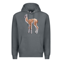 Rock Guanaco Llama Baby Premium Hoodie - LillyAllenDesigns