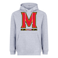 Heather Grey maryland terr Heavyweight Hoodie - linhVisuals