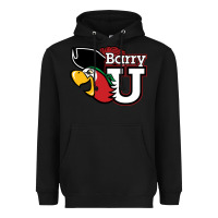 Black barry Heavyweight Hoodie - linhVisuals