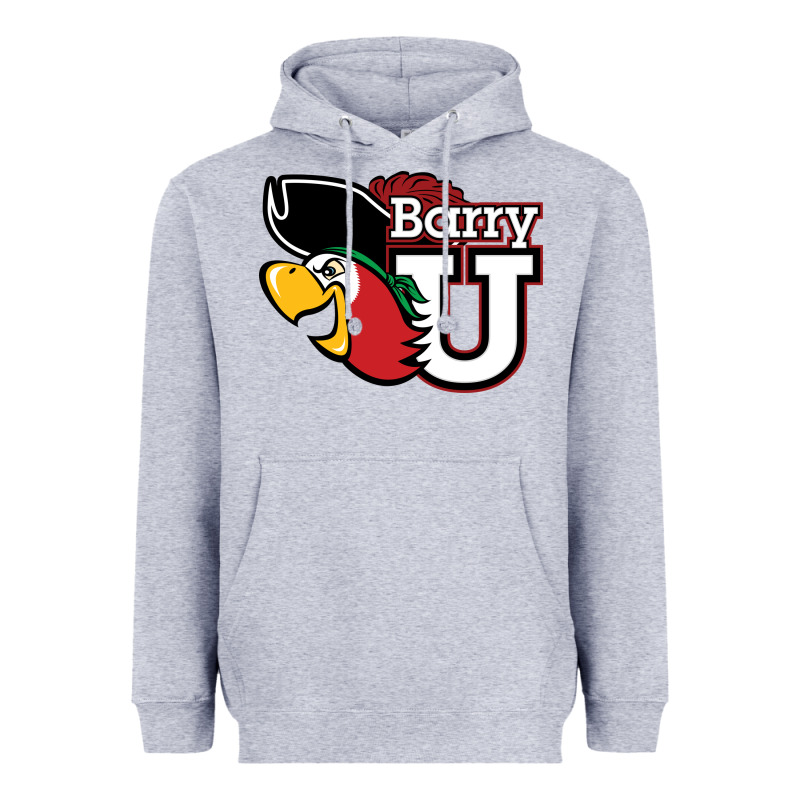 Barry Heavyweight Hoodie by linhVisuals | Teevron