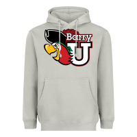 Moon Dust barry Heavyweight Hoodie - linhVisuals